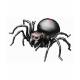 CEBEKIT Kit Araña Salt Water Energy